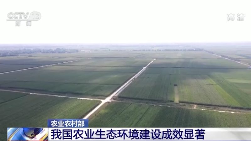 水稻种植，如何选对种子、农药和肥料套餐？**