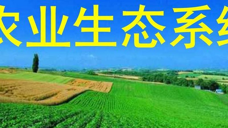 定制方案与普通方案：粮食种植的差异化策略