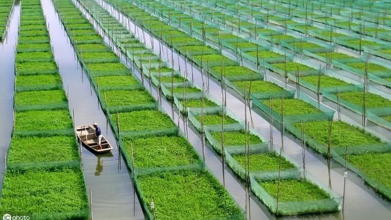 土壤检测标准：农业种植的“健康体检