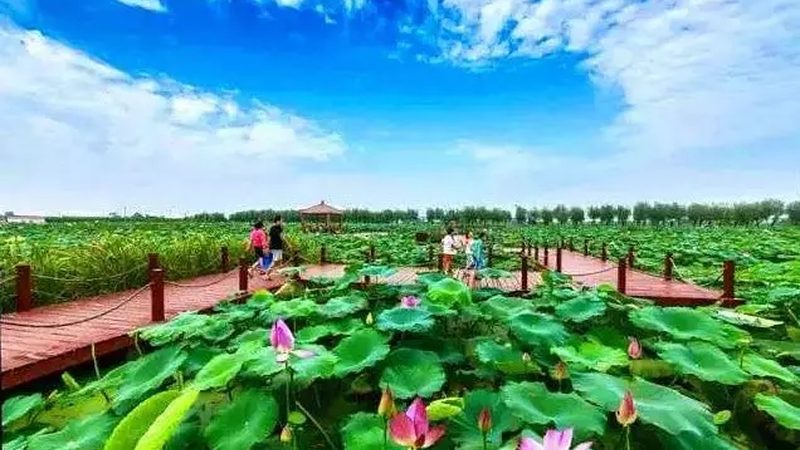 在申请农资经营许可证时，相关部门将对以下方面进行重点审查：