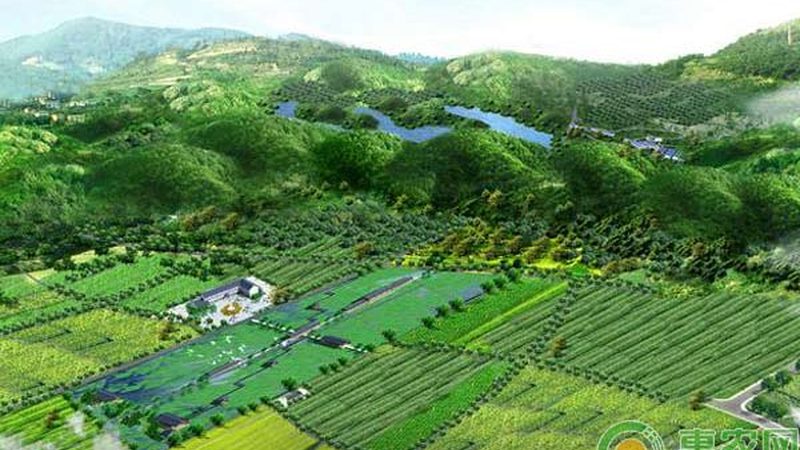 休闲农场开发：流程解析与成本考量