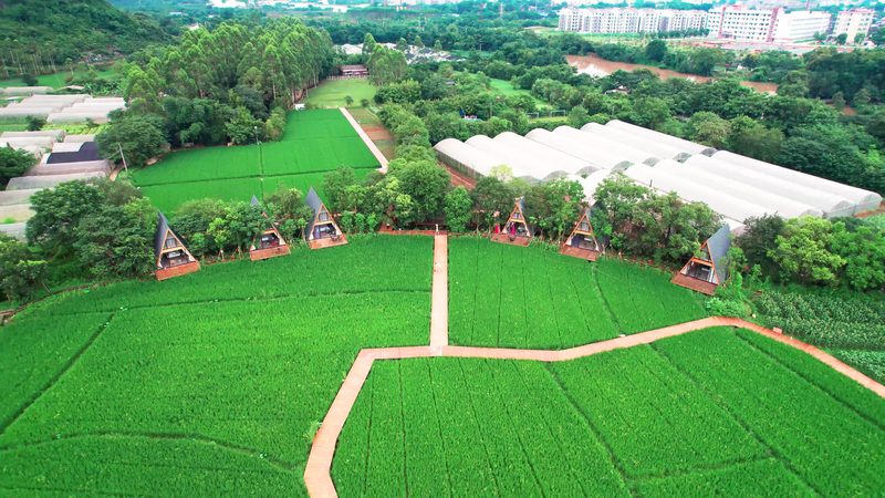 休闲农业新起点：新手必知的五大注意事项**