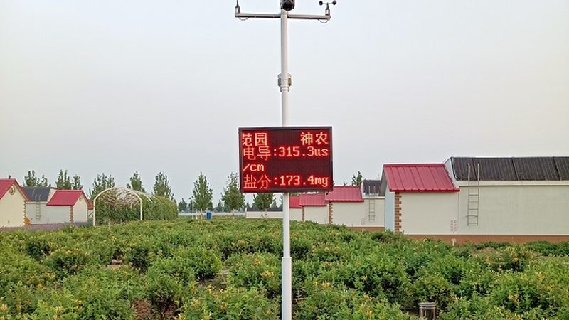 山东水果种植基地采购，如何规避四大误区？**